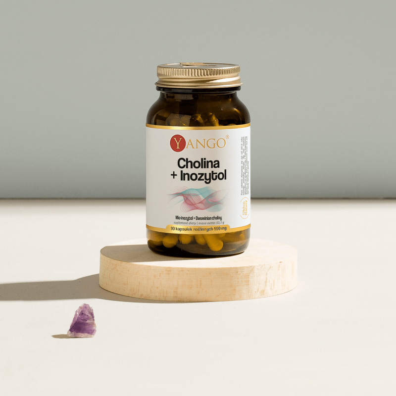 Cholina + Inozytol – 90 kaps.