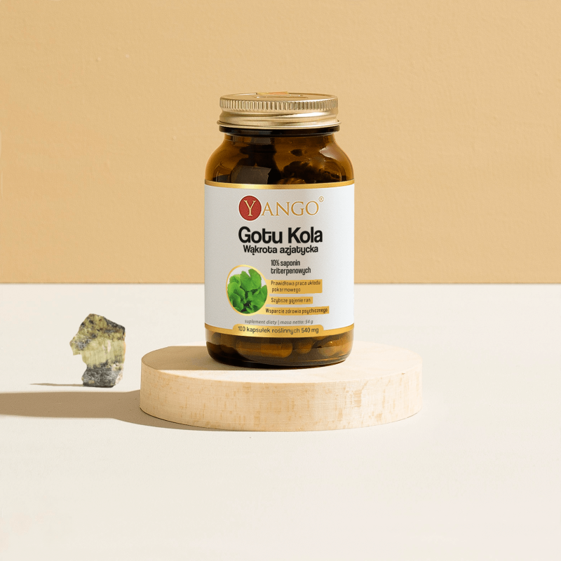 Gotu kola – ekstrakt 10% saponin triterpenowych – 100 kaps.