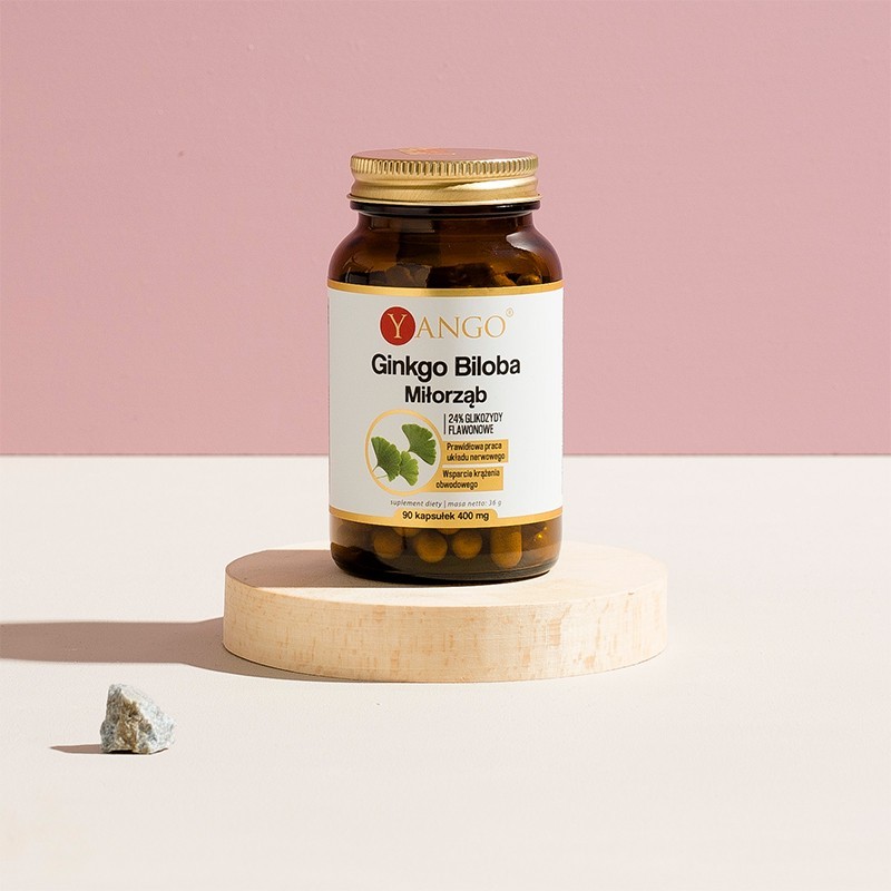 Ginkgo biloba - ekstrakt - 90 kaps.