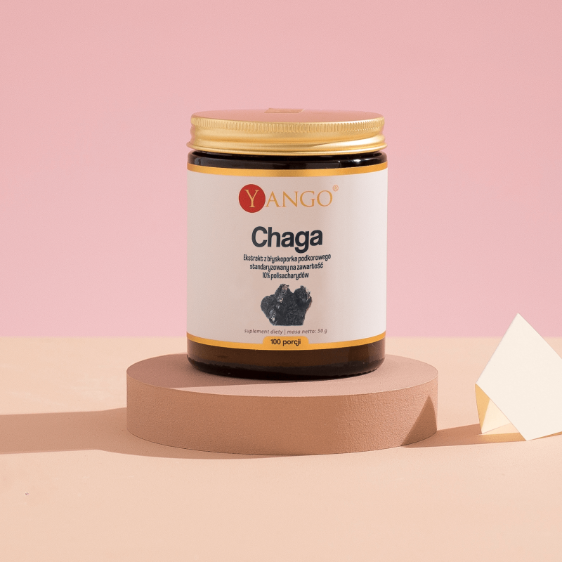Chaga - ekstrakt 10% polisacharydów - 50 g