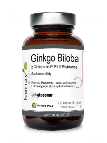 Ginkgo Biloba z Ginkgoselect® – 60 kaps.