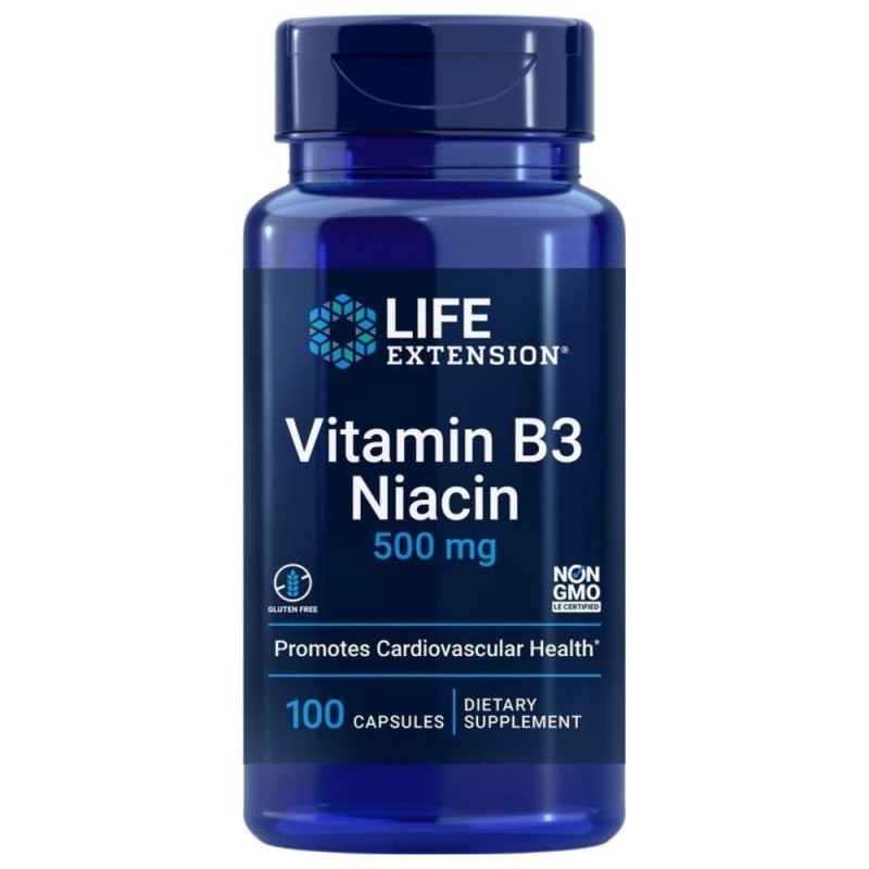 VITAMIN B3 NIACIN 500 mg – 100 kaps.