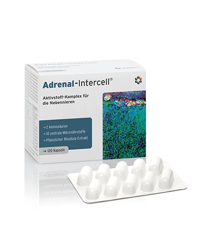 Adrenal-Intercell 120 kaps.