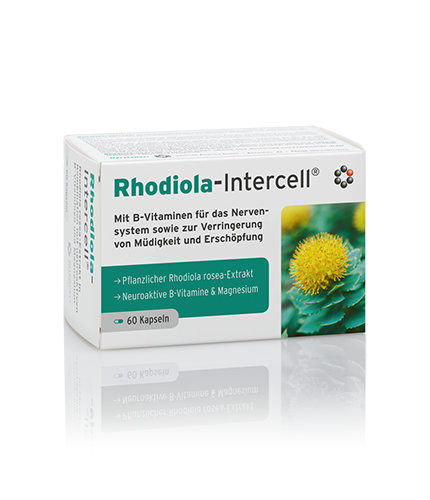 Rhodiola-Intercell 60 kaps.